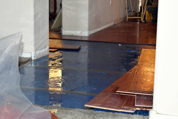 Professional Burst Pipe Cleanup technician working in Elmwood, IL