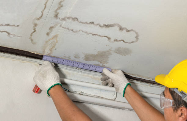 Reliable Burst Pipe Cleanup contractor in Elmwood, IL by Water Damage Irwin